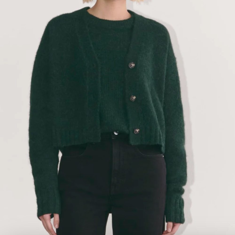 NWT Everlane Boxy Cardigan Scarab Green XXS